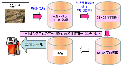 研究概要図