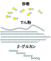 砂糖、でん粉、β-グルカン