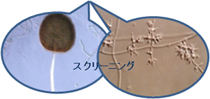 XN[jO