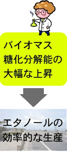 G^m[̌IȐY