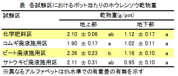 各試験区におけるポット当たりのホウレンソウ乾物重