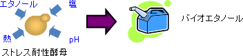 XgXϐy̗L]𗘗pčyێ