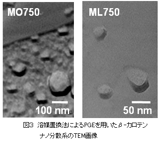 図　溶媒置換法によるPGEを用いたβ-カロテンナノ分散系のTEM画像