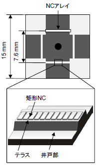 図　NC乳化基板の模式図