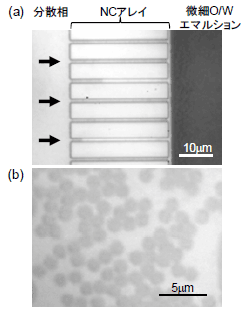 図　直接NC乳化の様子(a)、および作製された均一微小油滴(b)