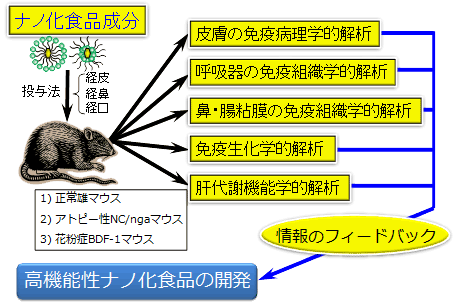 免疫学的安全性の解析