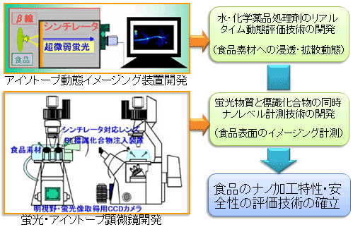 図　食品のナノ加工特性・安全性の評価技術の確立
