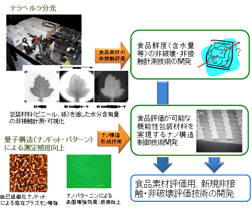 図　食品素材評価用、新規非接触・非破壊評価技術の開発