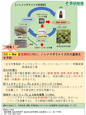 ノシメマダラメイガ管理暦パンフレットの2ページ目