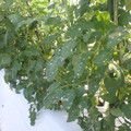 159905_20171024142713_01.JPG