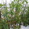 159906_20171121133240_01.JPG