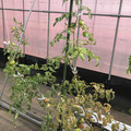 439905_20171218110339_01.JPG