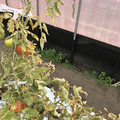 439905_20180205105034_08.JPG