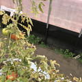 439905_20180205105034_09.JPG