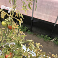 439905_20180205105034_10.JPG