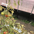439905_20180205105034_11.JPG