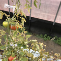 439905_20180205105035_01.JPG