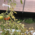 439905_20180205105035_10.JPG