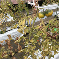 439905_20180205105148_01.JPG