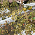439905_20180205105148_02.JPG