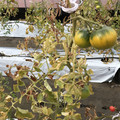439905_20180205105149_04.JPG