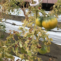 439905_20180205105149_08.JPG