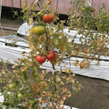 439905_20180205105322_08.JPG
