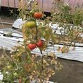 439905_20180205105322_09.JPG