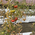 439905_20180205105323_07.JPG
