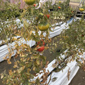 439905_20180205105325_01.JPG
