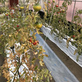 439905_20180205105329_02.JPG