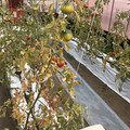 439905_20180205105329_05.JPG
