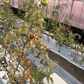 439905_20180205105330_02.JPG