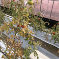 439905_20180205105330_05.JPG