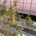 439905_20180205105330_10.JPG