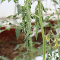 085004_20180601114058_04.JPG