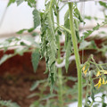 085004_20180601114059_01.JPG
