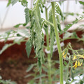 085004_20180601114059_02.JPG