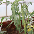 085004_20180601114100_02.JPG