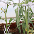 085004_20180601114101_02.JPG