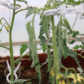 085004_20180601114101_04.JPG