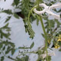 085004_20180601114139_02.JPG