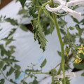 085004_20180601114140_02.JPG