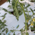 085004_20180601114140_04.JPG