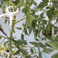 085004_20180601114158_02.JPG
