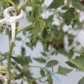 085004_20180601114158_05.JPG