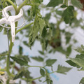 085004_20180601114159_01.JPG