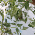 085004_20180601114159_02.JPG