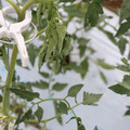 085004_20180601114200_02.JPG