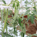 085004_20180601114221_01.JPG